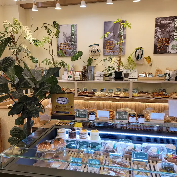 다양한 종류의 빵들이 진열된 모습