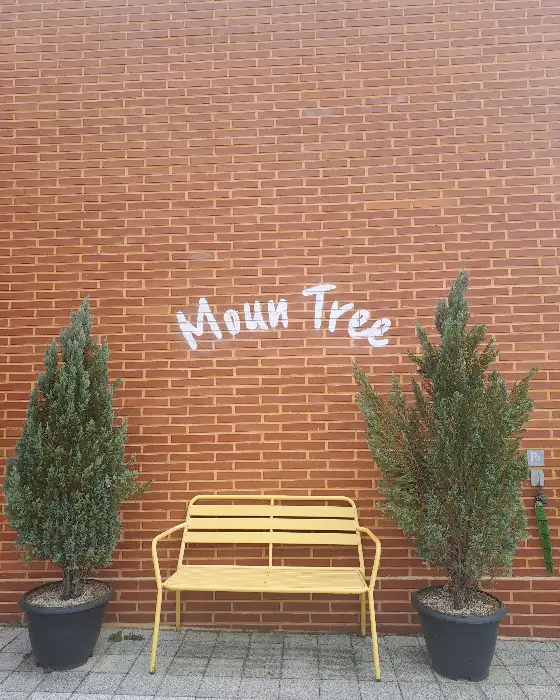 벽돌 벽 앞에 놓인 노란색 벤치와 두 그루의 나무