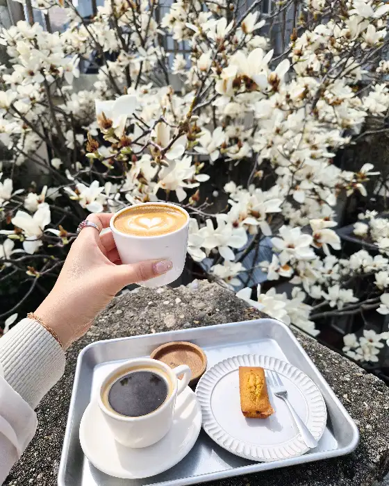 손에 든 라떼 아트 잔과 트레이에 담긴 커피와 휘낭시에