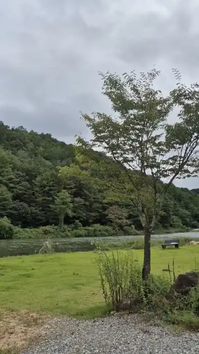 카페 옆 계곡과 나무