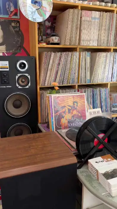 LP판과 오디오 장비 상세 모습