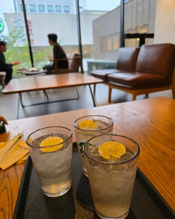 창가 자리에서 바라본 풍경