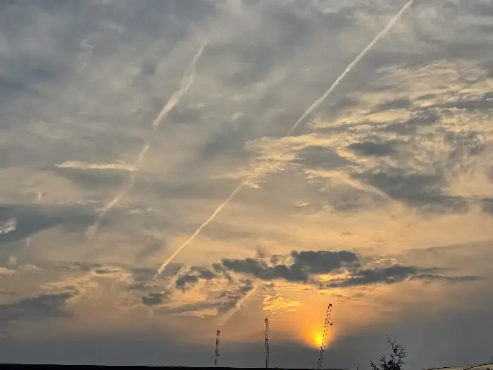 맛깔스러운 양념에 무쳐진 꽃게 무침 모습