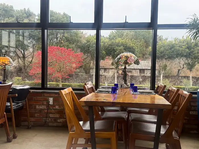 창밖으로 보이는 가을 단풍과 정원 풍경