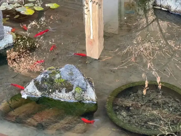 정갈하게 차려진 반찬들