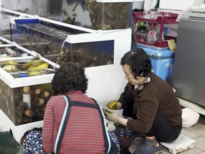 해녀들이 해산물을 준비하는 모습