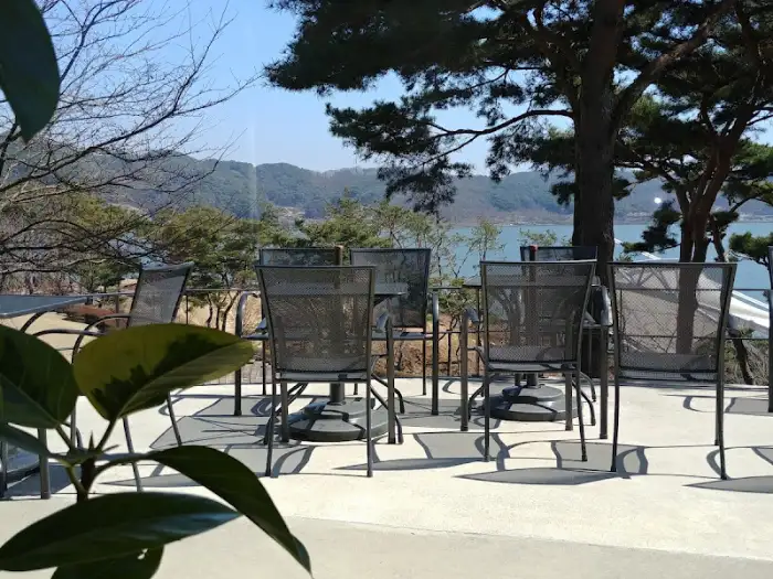 야외 테이블과 나무