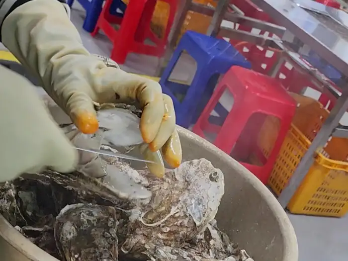 손에 굴 껍질을 들고 있는 모습