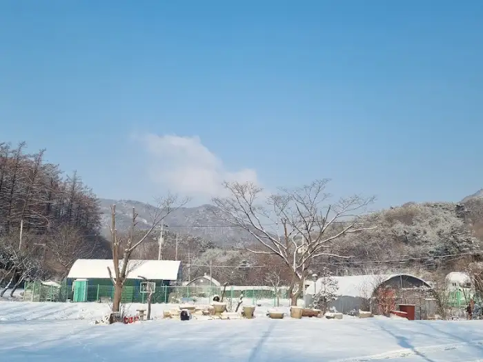 눈 덮인 시골 풍경 속의 건물들