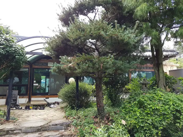 건물 앞 소나무와 풍경