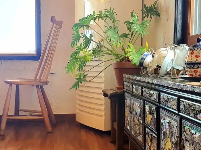 카페 내부의 나무 의자와 화분