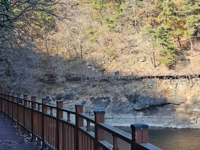 숲길과 이어지는 데크길