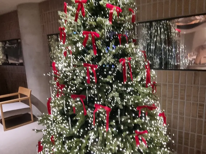 크리스마스 트리