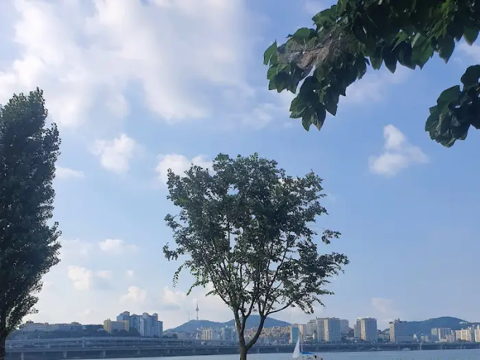 산이네수라상 닭볶음탕 모습