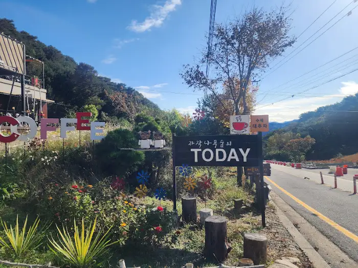 자작나무 숲 입구 풍경