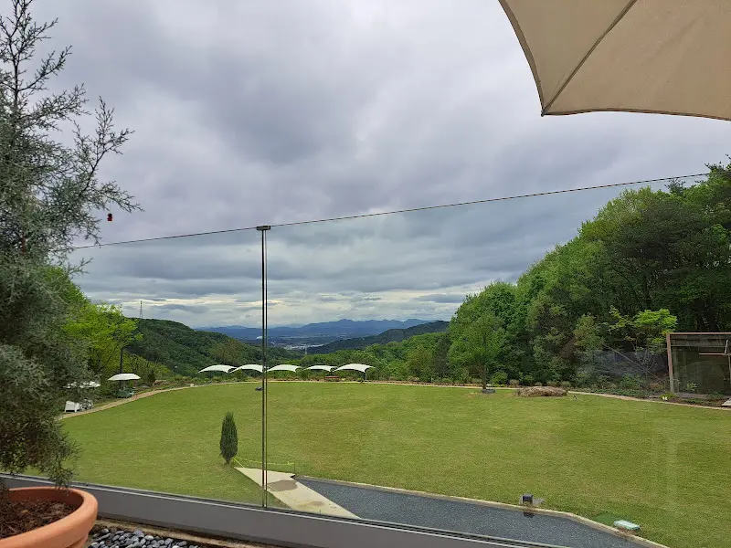 카페에서 바라본 넓은 잔디밭 전경