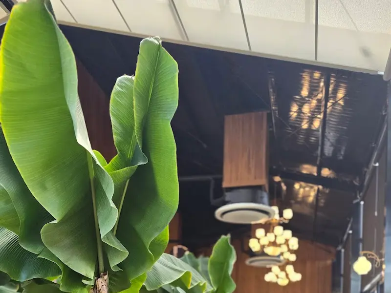 인디언키친 내부 인테리어