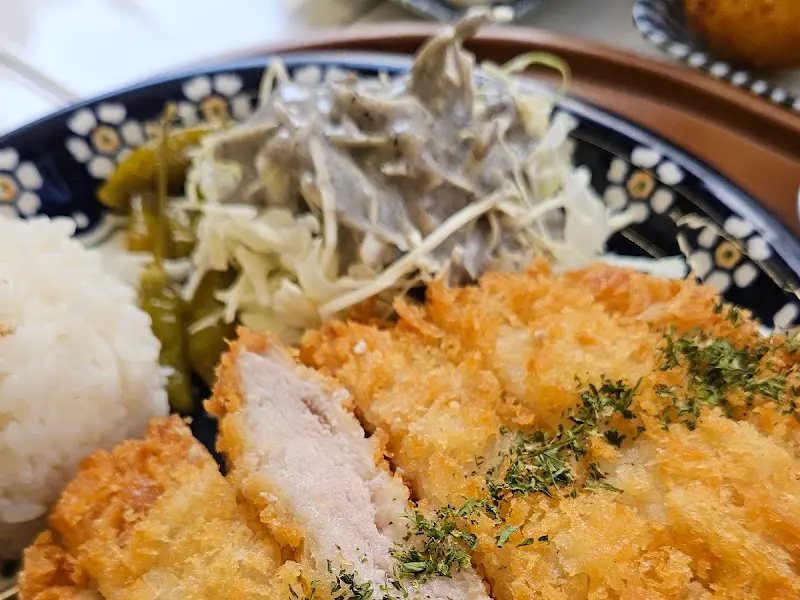 접시에 담긴 돈카츠. 튀김옷은 바삭하고 속은 촉촉해 보인다. 샐러드와 밥이 함께 제공되어 푸짐함을 더한다.