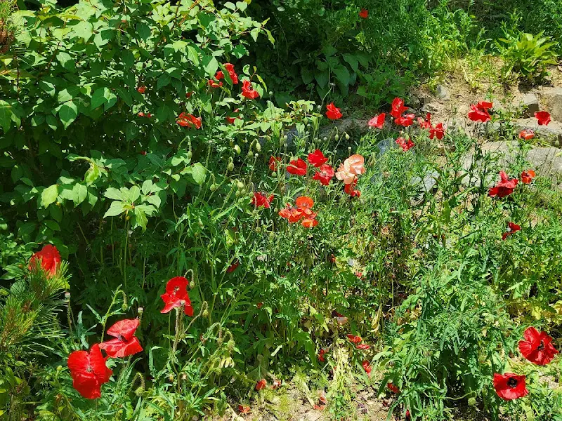 카페 주변 풍경