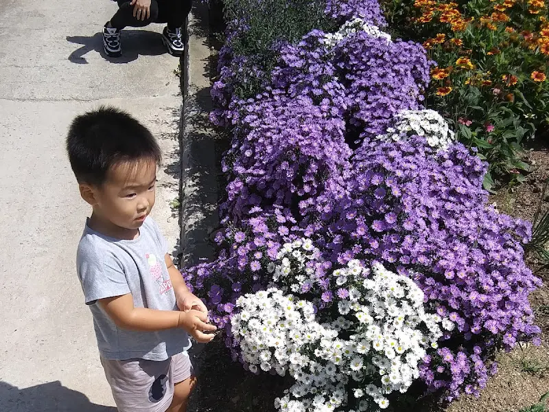 가게 앞에 핀 아름다운 꽃들