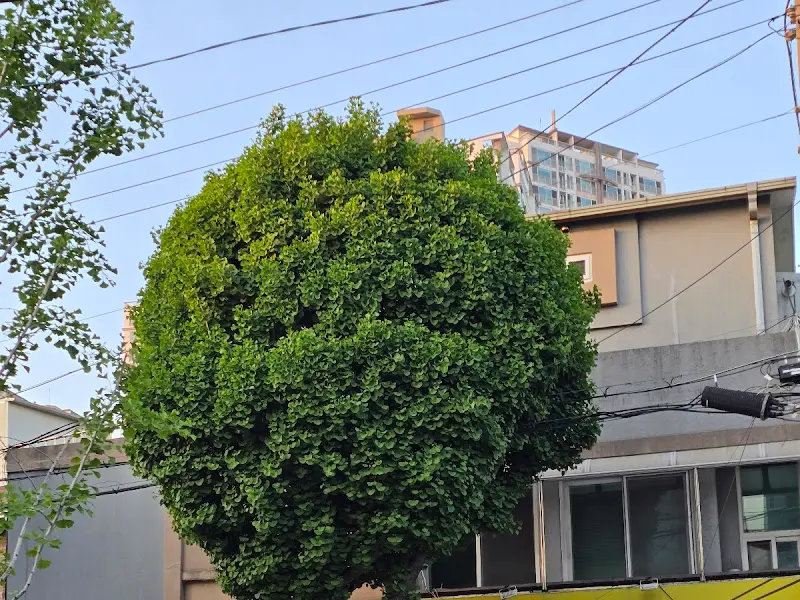 가게 외부 풍경