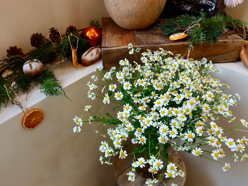 만달리투고의 크리스마스 장식