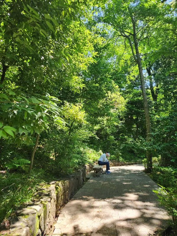 푸짐하게 차려진 쌈밥 한 상