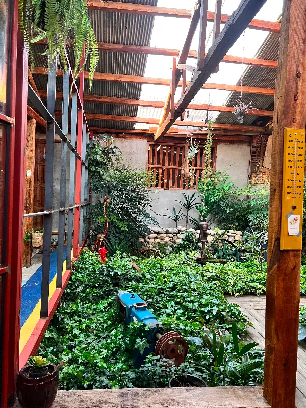 카페 내부 정원의 모습