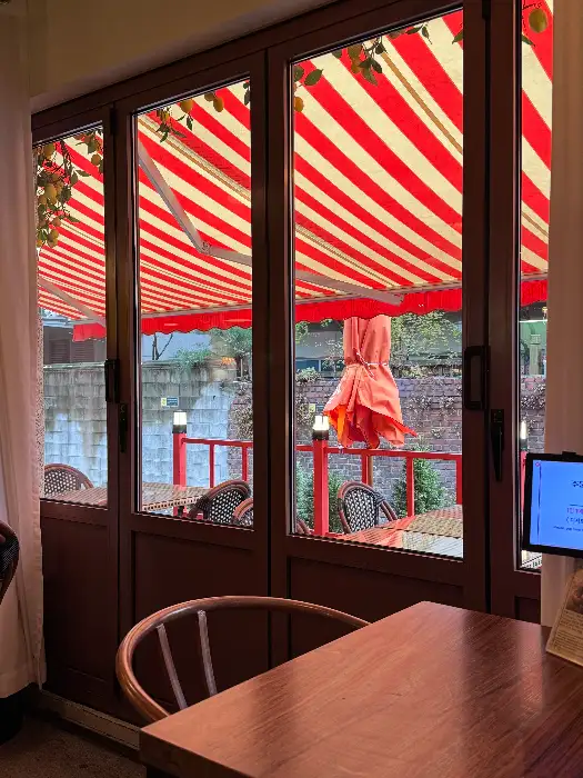 비텔로소띠 실내 창가 풍경