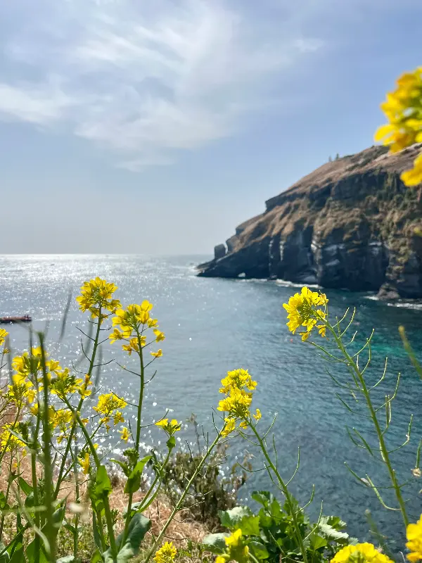 카페 마당에서 낮잠을 즐기는 고양이