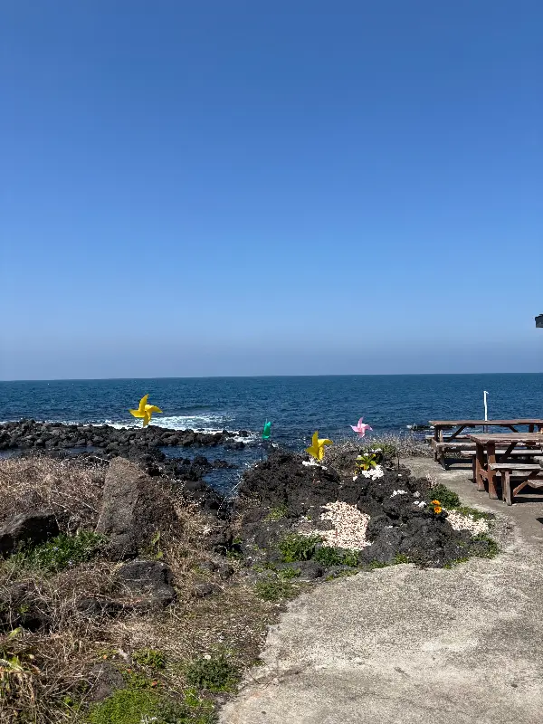 정원의 바람개비