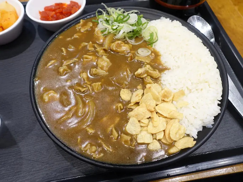 밥과 카레 위에 튀긴 마늘 토핑과 파가 올려져 있다.