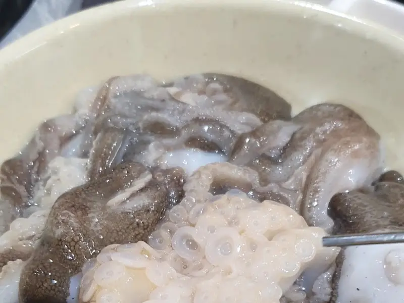 싱싱한 쭈꾸미의 자태