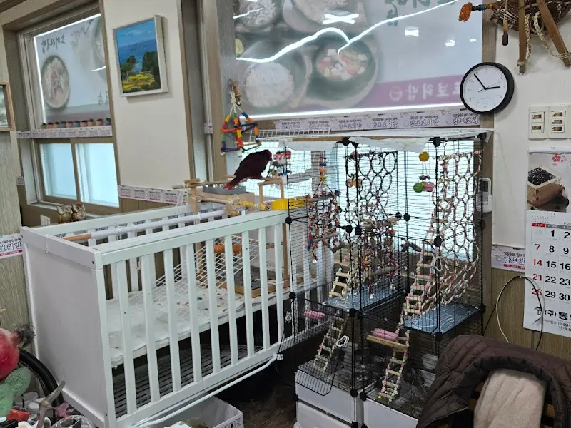 식당 내부에 있는 앵무새 우리
