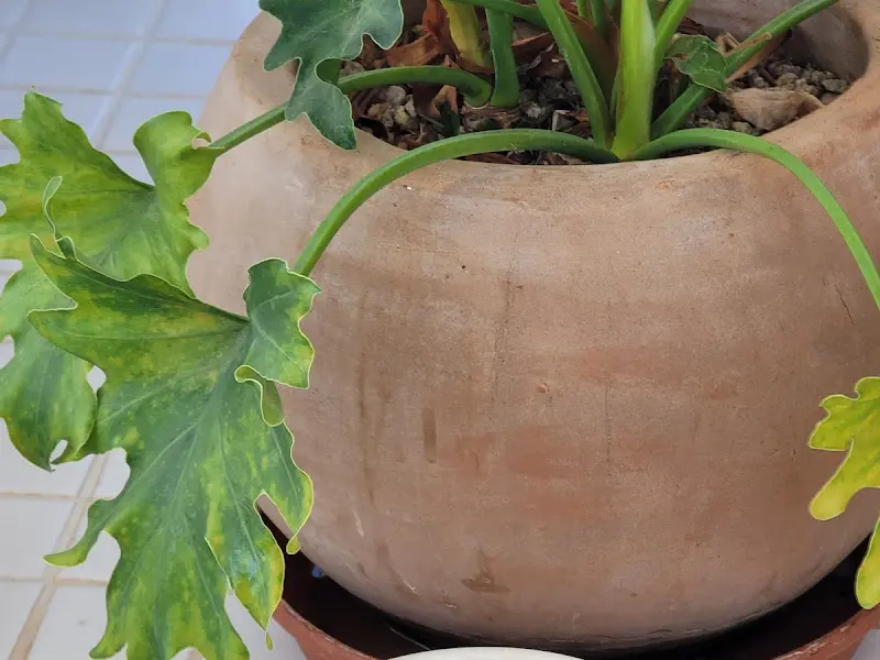 카페 내부 장식