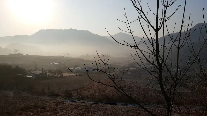 식당 주변의 평화로운 풍경