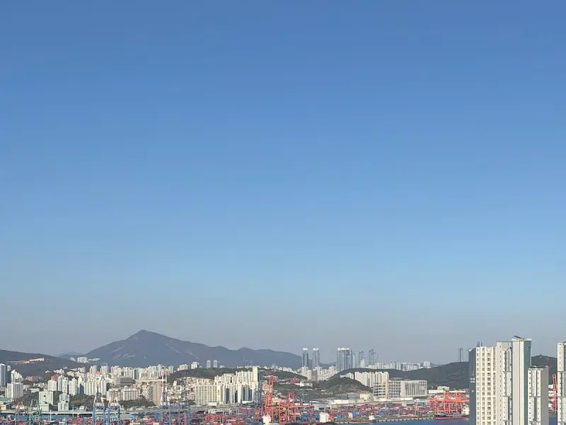 카페에서 바라본 부산항 뷰