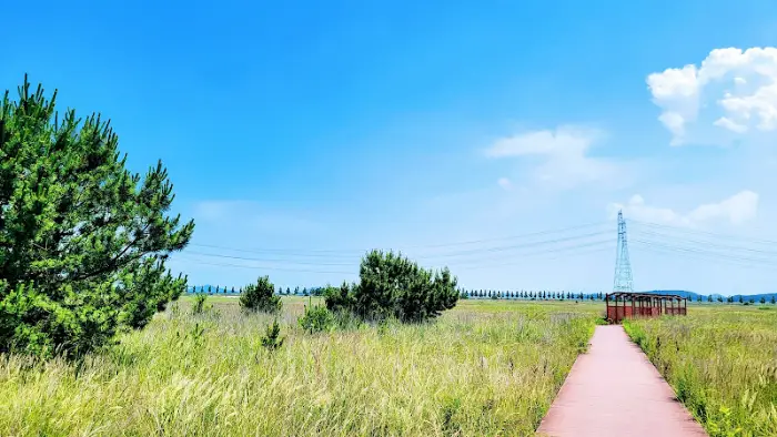 식당 주변 풍경