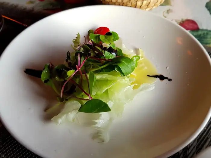 신선한 채소와 토마토가 어우러진 샐러드