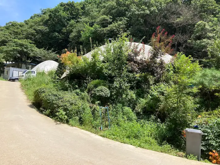 울창한 숲 사이에 자리한 건물 전경