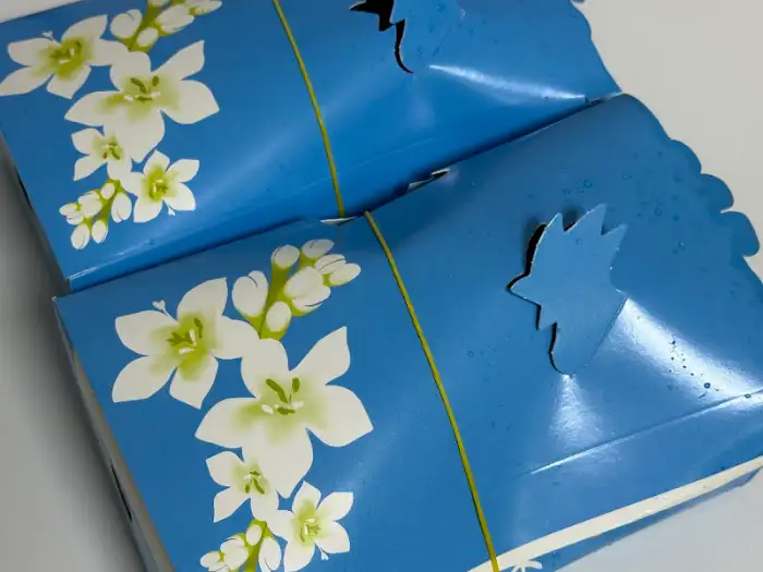 포장 박스 디자인