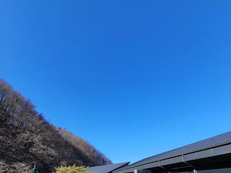 용인 묵리459 카페 외부 풍경