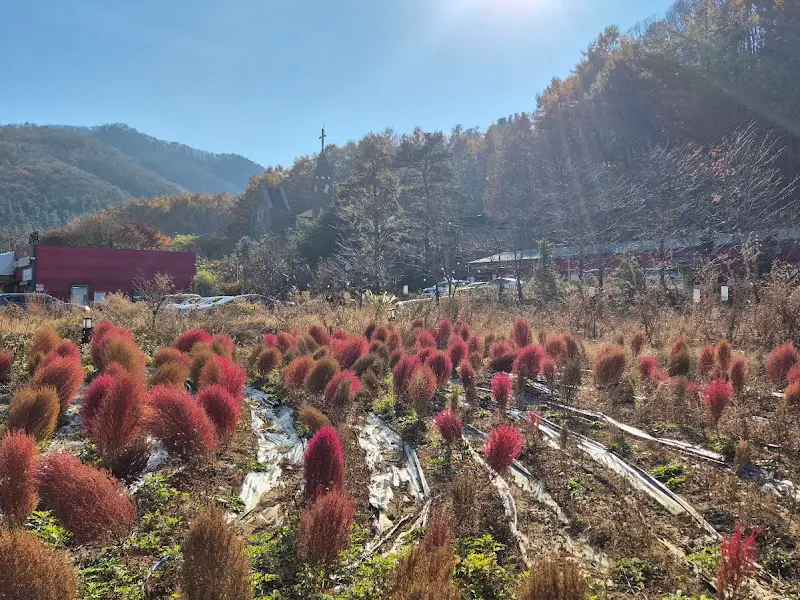 카페 주변 풍경