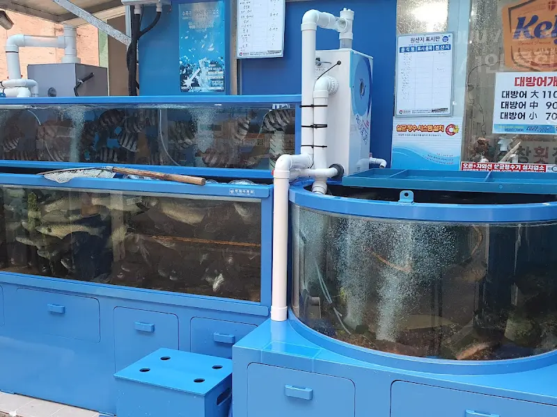 싱싱한 해산물이 가득한 수조