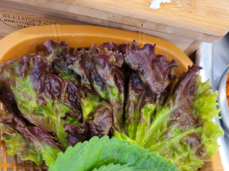 싱싱한 쌈 채소