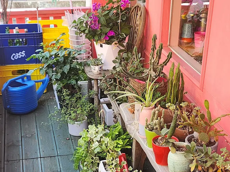 앤의 식탁 외부 인테리어