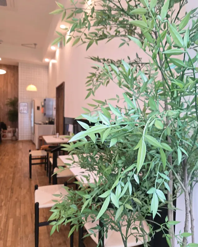 싱그러운 분위기의 내부 인테리어