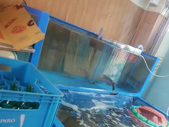 수조 내부 모습