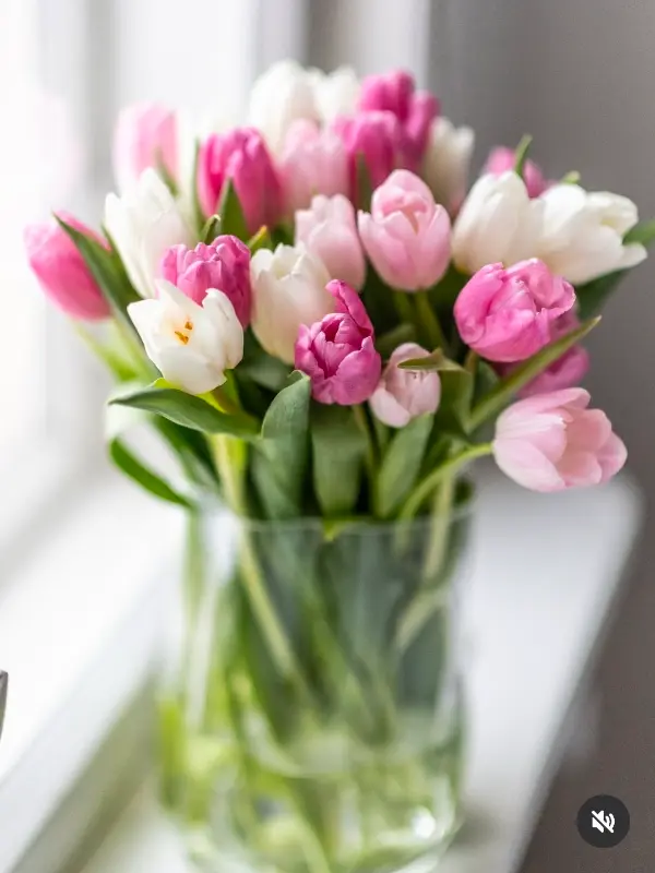 식당에 놓인 꽃