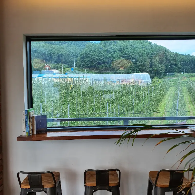 창밖으로 보이는 사과밭 풍경